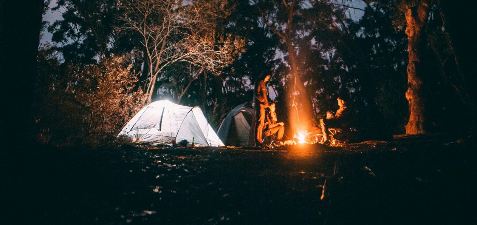 person sitting near bonfire surrounded by trees